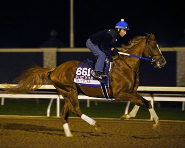 Tapiture - Morning Training - Keeneland Race Course - KEE - 102315