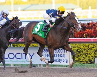 Soaring Empire, ridden by Jose Lezcano, captures the Hal's Hope Stakes at Gulfstream Park on January 8, 2011.