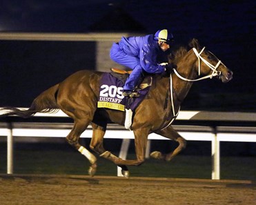 I'm a Chatterbox - Morning Workout - Keeneland Race Course - 102415