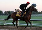 Another Coolmore Classic Try With Gleneagles Another Coolmore Classic Try With Gleneagles