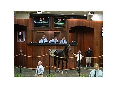 A 2-year-old son of Gio Ponti brought $250,000 Oct. 14 to top the horses of racing age section of the Ocala Breeders' Sales Company's 2015 Fall Mixed Sale.