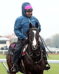 Lava Man - Morning Training - Keeneland Race Course - 102715