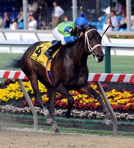 Acting Happy wins the 86th running of the Black-Eyed Susan at Pimlico Race Course in Baltimore, Maryland May 14, 2010. Photo by Skip Dickstein