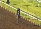 Super Majesty Work at Keeneland Oct 19, 2015 Super Majesty Work at Keeneland Oct 19, 2015