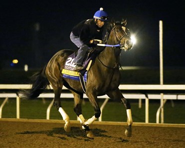Untapable - Morning Gallop - Keeneland Race Course - 102315