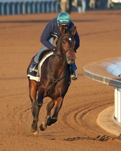 Cocked and Loaded - Morning Workout - Keeneland Race Course - 102315
