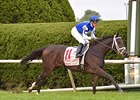 Tepin Tunes Up for Breeders' Cup Mile Tepin Tunes Up for Breeders' Cup Mile