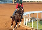Frivolous Tunes Up for Distaff Run Frivolous Tunes Up for Distaff Run