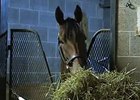 Breeders' Cup News Update for Oct. 28, 2015 Breeders' Cup News Update for Oct. 28, 2015