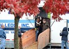 American Pharoah arrives at Keeneland for the Breeders' Cup.<br><a target="blank" href="http://photos.bloodhorse.com/BreedersCup/2015-Breeders-Cup/Works/i-hVxBNL2">Order This Photo</a>