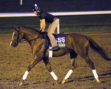 Lea - Morning Workout - Keeneland Race Course - 102415