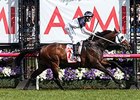 Tarzino, Gailo Chop Win on Victoria Derby Day Tarzino, Gailo Chop Win on Victoria Derby Day