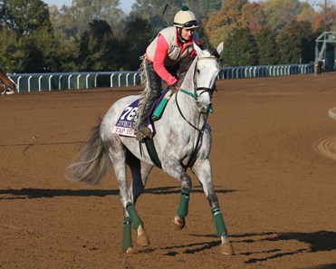 Tap to It - Morning Training - Keeneland Race Course - KEE - 102315
Trainer: Ralph E. Nicks
Owner: Whisper Hill Farm LLC