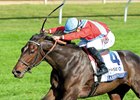 Harmonize lands her first graded stakes score in the 2015 JPMorgan Chase Jessamine Stakes at Keeneland