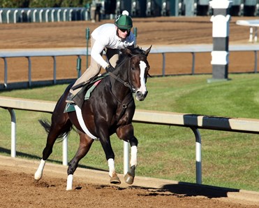 Tourist - Morning Workout - Keeneland Race Course - 101915