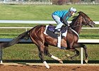 Greenpointcrusader works at Keeneland Oct. 19.