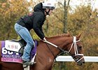 Sapphire Kitten is the first Breeders' Cup entrant for trainer Joe Sharp.