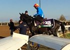 Breeders' Cup: Golden Horn Slow Motion Breeders' Cup: Golden Horn Slow Motion