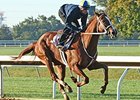 I'm a Chatterbox worked four furlongs in :47 1/5 at Keeneland on October 11.