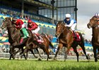 Jockey Rafael Hernandez guides Bye Bye Bernie to victory in the $300,000 Nearctic Stakes at Woodbine Racetrack.
