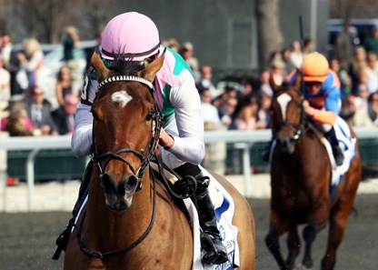 Keeneland Race Course Lexington, Kentucky
EMOLLIENT
The Central Bank Ashland Gr I - 76th Running
4/6/2013
Purse $500,000
1-1/16 Miles 1:43.49
Juddmonte Farms, Inc., Owner
William I. Mott, Trainer
Mike Smith, Jockey
Tuttipaesi (2nd)
Kitten's Point (3rd)
$14.40 $8.40 $5.80
Order of Finish - 13, 1, 7, 12
Please Give Photo Credit To: / Coady Photography