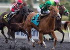 Cactus Kid wins the Ontario Fashion Stakes Oct. 18.
