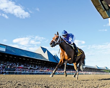 Questing wins the 2012 Alabama Stakes (gr. 1) at Saratoga.