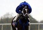 Wedding Toast<br><a target="blank" href="http://photos.bloodhorse.com/BreedersCup/2015-Breeders-Cup/Works/i-CbvjWWt">Order This Photo</a>