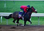 Private Zone went a half-mile in :48 3/5 at Keeneland on Oct. 24.
<br><a target="blank" href="http://photos.bloodhorse.com/BreedersCup/2015-Breeders-Cup/Works/i-7nPZ5s4">Order This Photo</a>