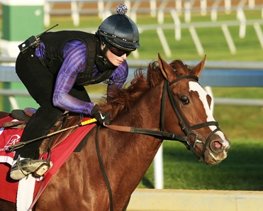 Catch a Glimpse - Morning Workout - Keeneland Race Course - 102015