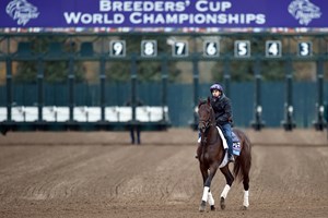 (October 26, 2015) Juvenile contender Greenpointcrusader jogging by the Keeneland starting gate Monday morning...
© 2015 Rick Samuels/The Blood-Horse