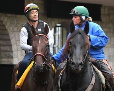 Smooth Roller
Paddock Schooling
10-25-15
Trainer: Victor L. Garcia
Owner: Lucky Charm Stable
Breeder: John R. Cummins