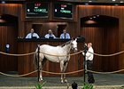 Puddifoot, a 4-year-old Red Giant filly, brought $120,000.