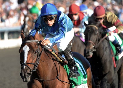 ACOMA
The Juddmonte Spinster ( Grade I) 55th Running
Keeneland Race Course
10/10/2010
Purse $500,000
1-1/8 Miles 1:48.77
Helen C. Alexander & Helen K. Groves, Owners
David M. Carroll, Trainer
Alan Garcia, Jockey
Milwaukee Appeal (2nd)
Hot Cha Cha (3rd)
$49.60 $23.40 $11.80