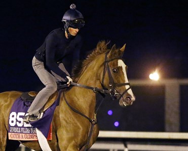 Catch a Glimpse - Morning Training - Keeneland Race Course - KEE - 102315