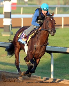 Ralis - Morning Workout - Keeneland Race Course - 102315