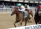 Palace won the Hudson Handicap Oct. 24 at Belmont Park.<br><a target="blank" href="http://photos.bloodhorse.com/AtTheRaces-1/At-the-Races-2015/i-nJj6vBg">Order This Photo</a>