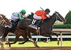 Sarah Sis will launch her 4-year-old campaign in the American Beauty Stakes.<br><a target="blank" href="http://photos.bloodhorse.com/AtTheRaces-1/At-the-Races-2015/i-xjgsxLn">Order This Photo</a>