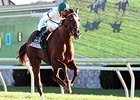 Kitten's Point Rallies to Take Dowager Kitten's Point Rallies to Take Dowager