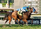 Belle Hill fights for the win in the Autumn Miss.