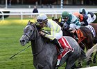 Stellar Path leads the way to victory in the Athenia Stakes.<br><a target="blank" href="http://photos.bloodhorse.com/AtTheRaces-1/At-the-Races-2015/i-fmgNNk6">Order This Photo</a>