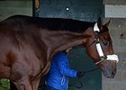 American Pharoah