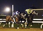 'Super' Breeze for Stopchargingmaria in Rain 'Super' Breeze for Stopchargingmaria in Rain