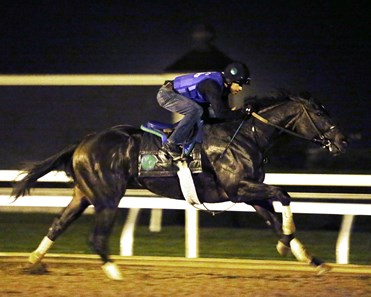 Limousine Liberal - Morning Workout - Keeneland Race Course - 102415