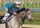 Mutatis Mutandis made her U.S. debut in the Flower Bowl, where she finished third.