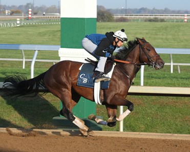 Bobby's Kitten - Morning Workout - Keeneland Race Course - 102315