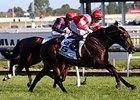 Mongolian Khan Powers Away in Caulfield Cup Mongolian Khan Powers Away in Caulfield Cup