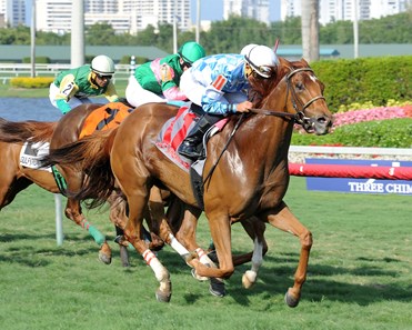 Free as a Bird flies home in the Captiva Island Handicap at Gulfstream Park on March 18, 2015.