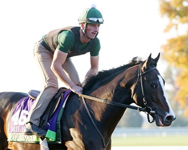 Tourist - Morning Workout - Keeneland Race Course - 102315