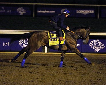 American Pharoah -